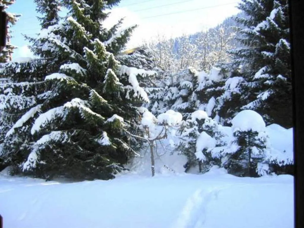 Chalet Myosotis Villa Megeve France