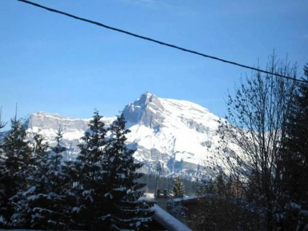 Chalet Myosotis Villa Megeve